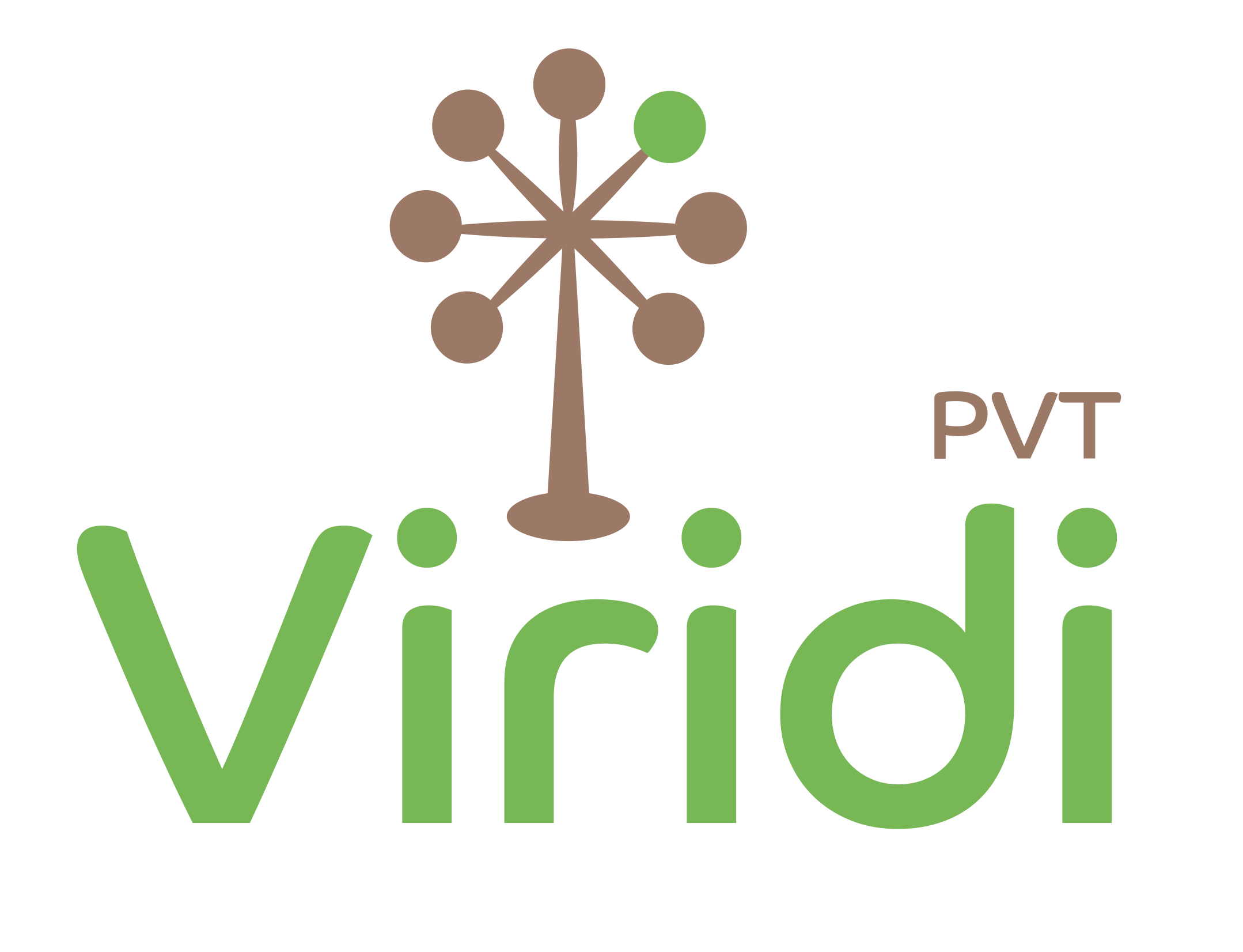 logo_viridi_pvt.png